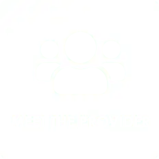chiropractor about us meet the team